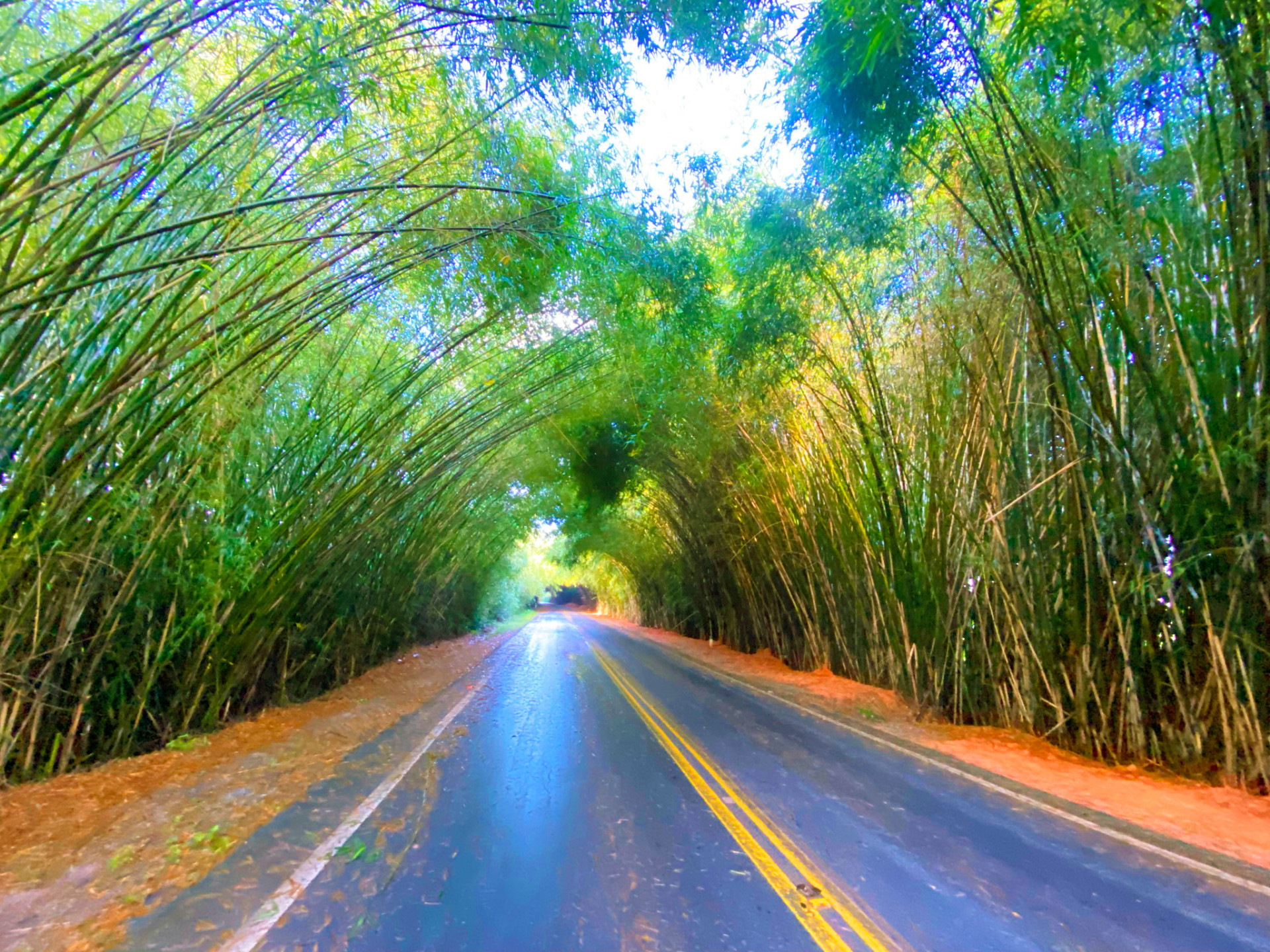 Parque da Serra Verde